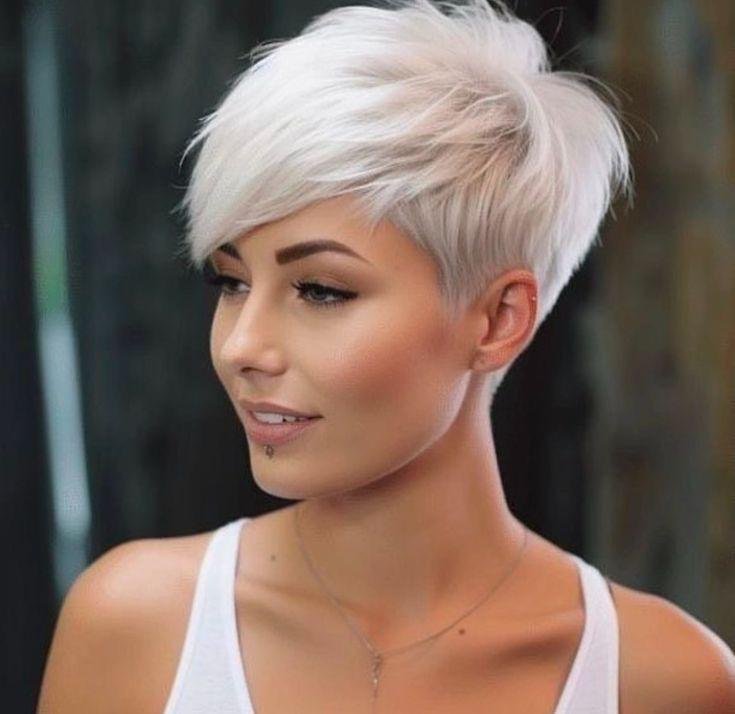 Platinweißer Pixie mit Pony