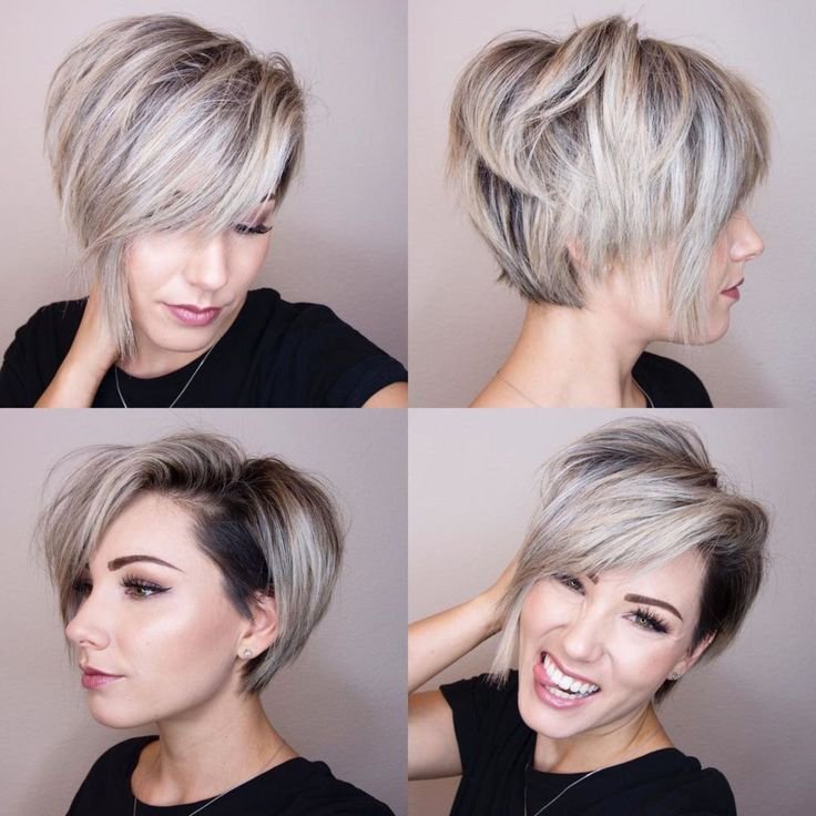 Der asymmetrische Pixie-Bob im Rundum-Blick